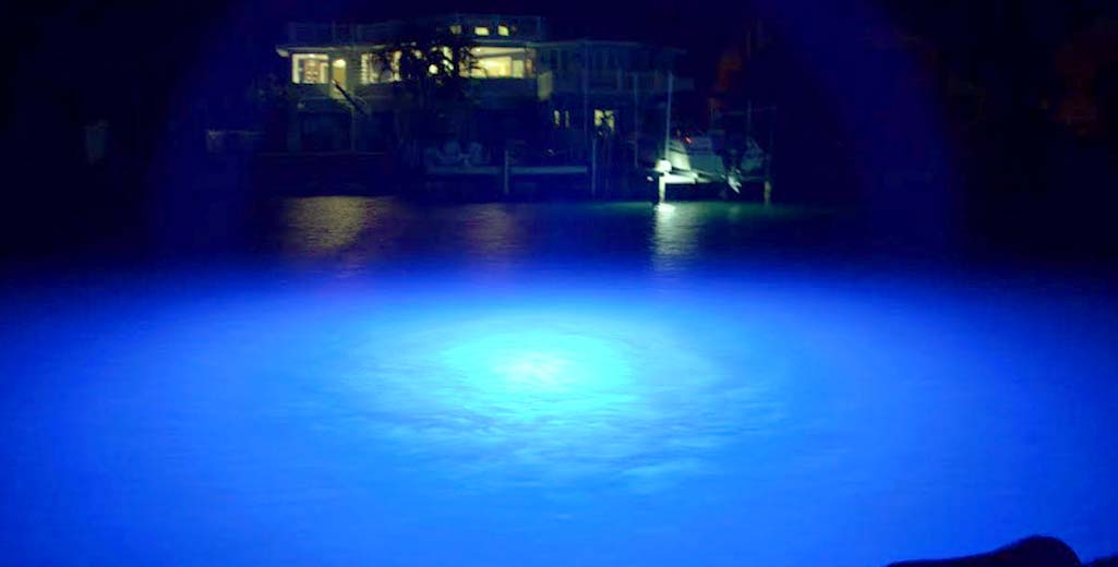 blue dock lights